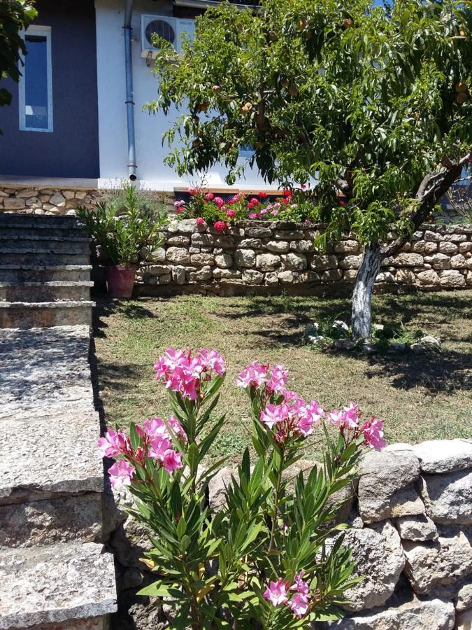 Villa Sunny Day سينتس قسطنطين وهيلينا المظهر الخارجي الصورة